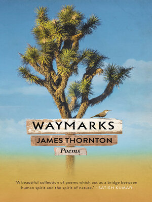 cover image of Waymarks